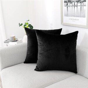Decorative Throw Pillow Covers Pack of 2, Velvet Throw Pillow Cases for Couch